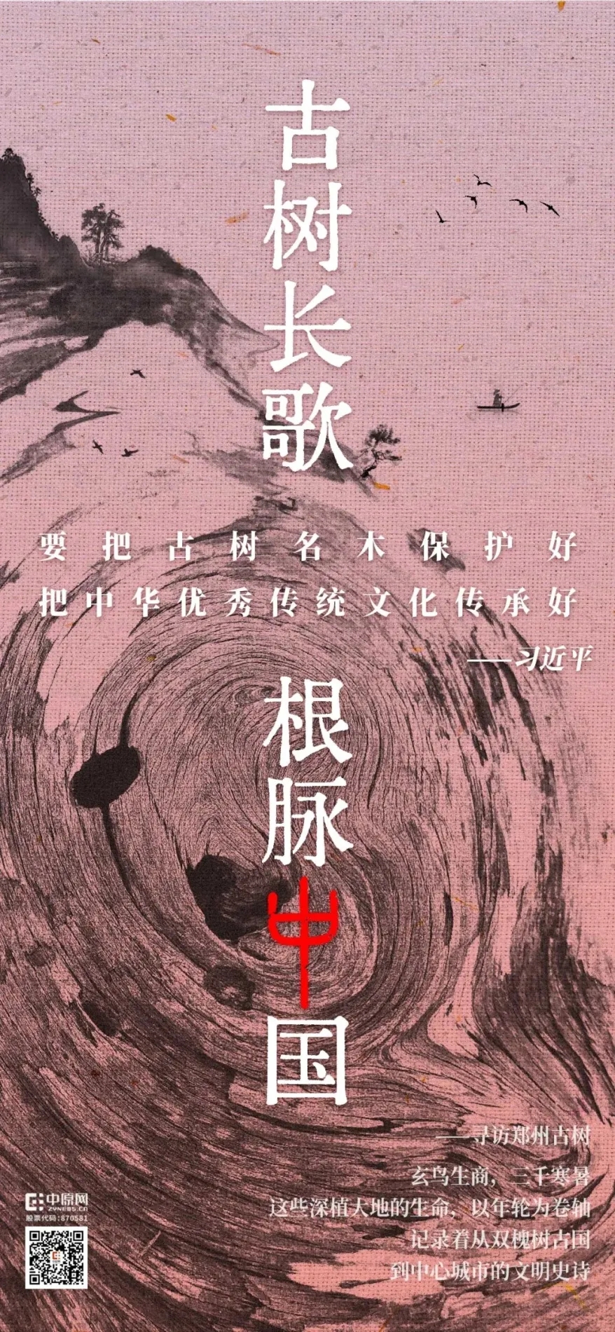 古树长歌 | 嵩山脚下古道边，七棵栎树跨越千年