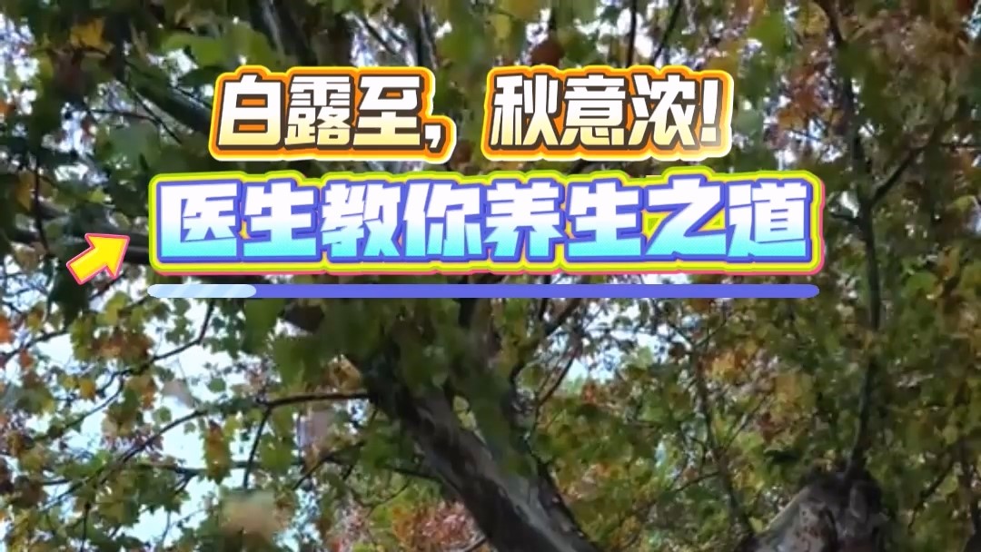 白露至，秋意浓！驻马店市中医院医生教你养生之道