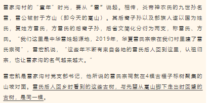 古树长歌 | 嵩山脚下古道边，七棵栎树跨越千年