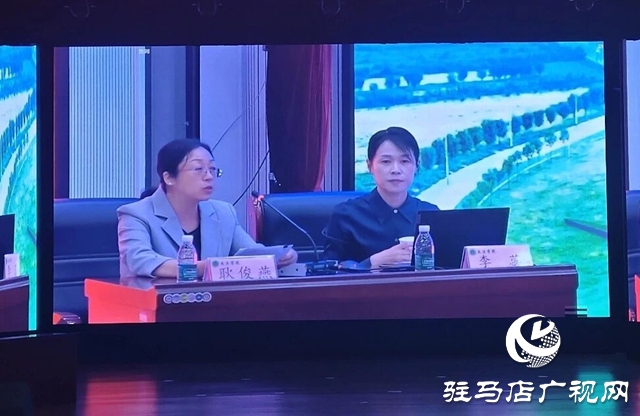  西平县移风易俗经验闪耀全省文明实践能力提升培训班