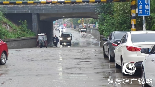  西平县柏城街道闻“汛”而动 筑牢强降雨安全防线