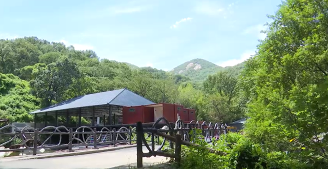 驿城区金顶山成“天然氧吧” 沉浸式“深呼吸”旅游受追捧