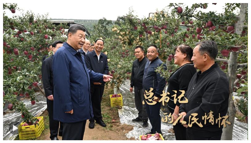 总书记的人民情怀丨“以加快农业农村现代化更好推进中国式现代化建设”