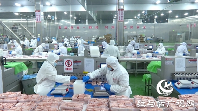 河南恒都食品：开足马力赶订单 奋战三季度促增长