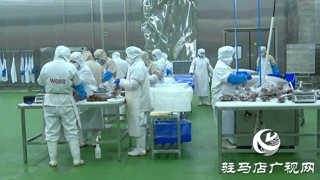 河南恒都食品：开足马力赶订单 奋战三季度促增长