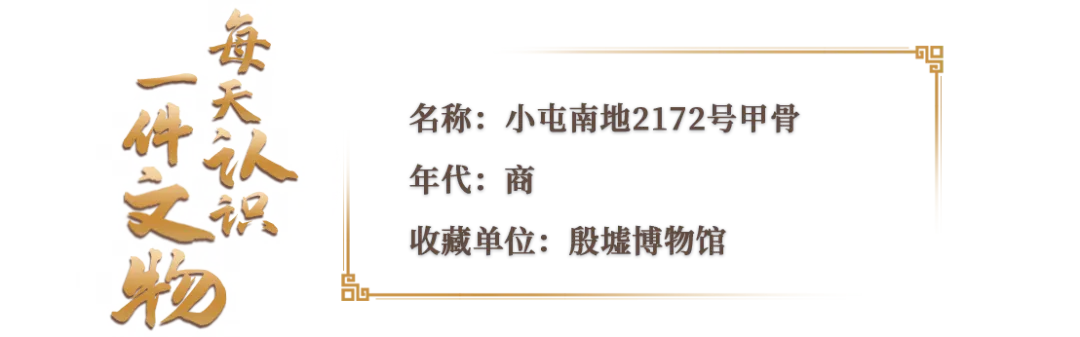 文博日历丨透过这片“明星甲骨”，一起寻找汉字的源头！