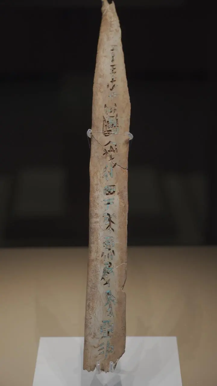文博日历丨透过这片“明星甲骨”，一起寻找汉字的源头！