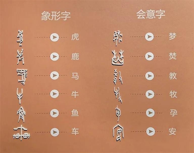 文博日历丨透过这片“明星甲骨”，一起寻找汉字的源头！