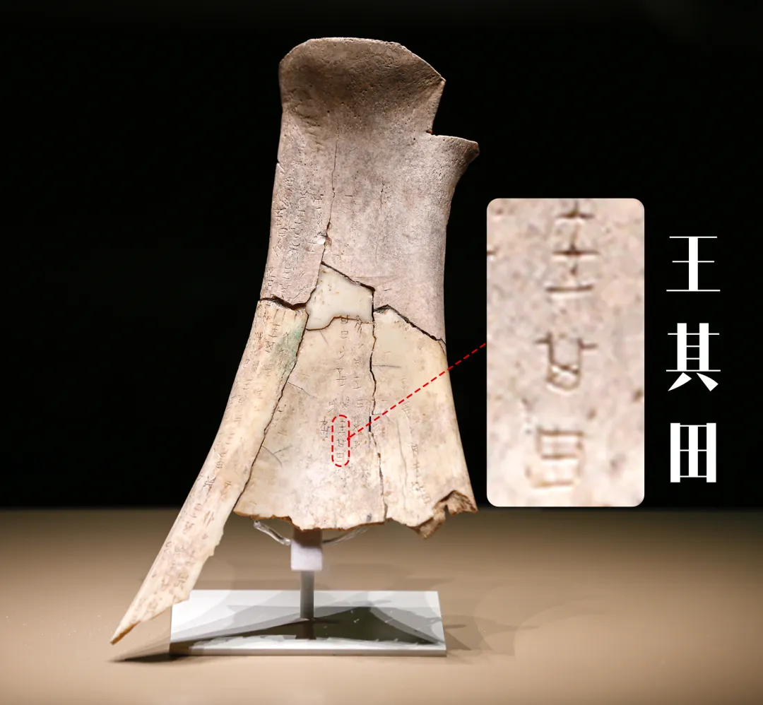 文博日历丨透过这片“明星甲骨”，一起寻找汉字的源头！