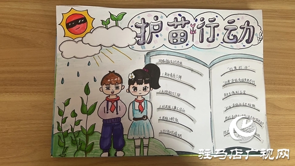 平舆县第二初级中学“护苗·绿书签”行动 