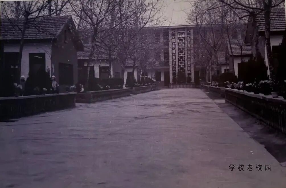  “六秩育幸福 桃李竞芬芳”——喜迎驻马店实验小学建校60周年