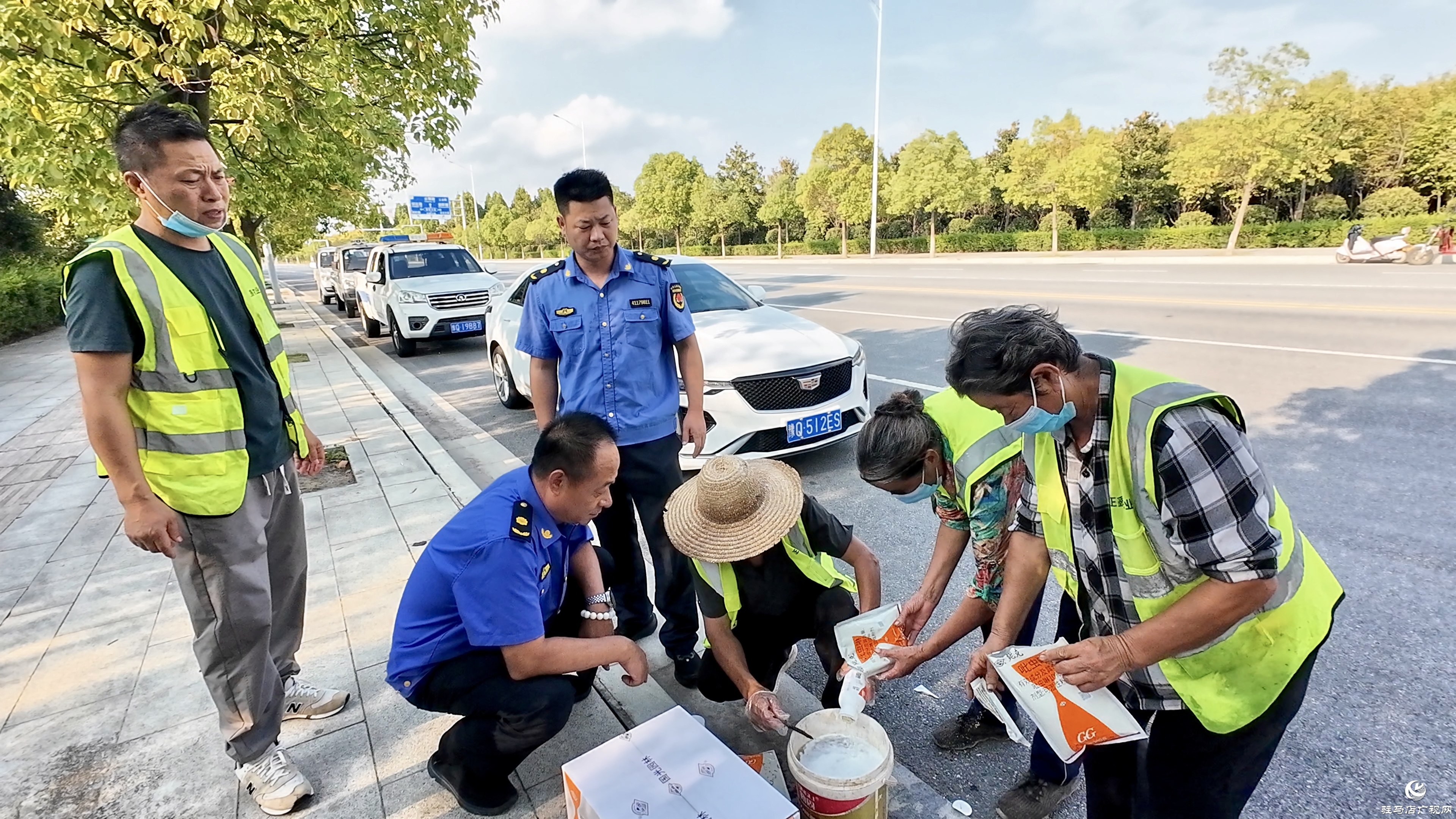 正阳县城市管理局：多措并举科学防治白粉虱 守护城市宜居环境
