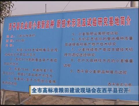 六件惠民实事顺利实施 极大改善市民工作生活环境