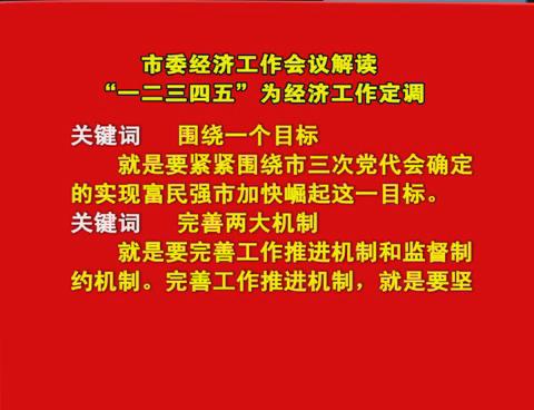 驻马店市委经济工作会议解读