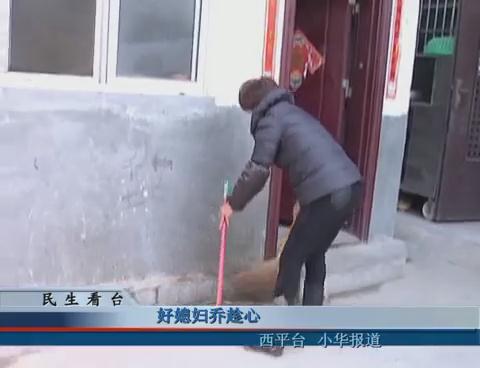 好媳妇乔趁心