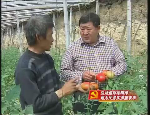付长运：扎根基层为群众办好事办实事 带领群众走上致富路