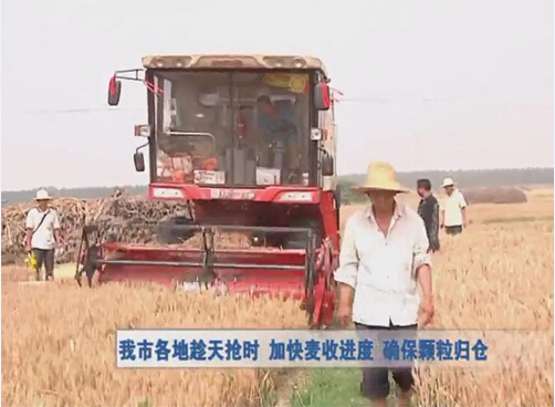 我市各地加快麦收进度 确保颗粒归仓
