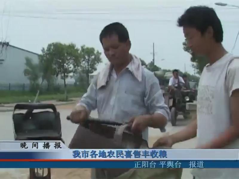 我市各地农民喜售丰收粮