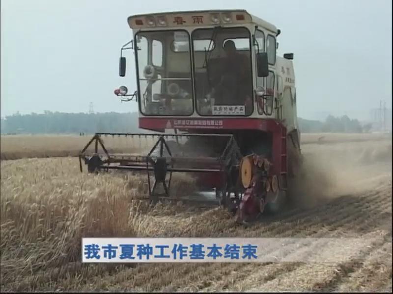 我市夏种工作基本结束