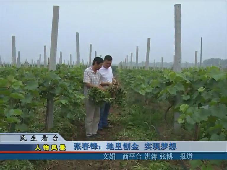 张春锋：地里刨金 实现梦想