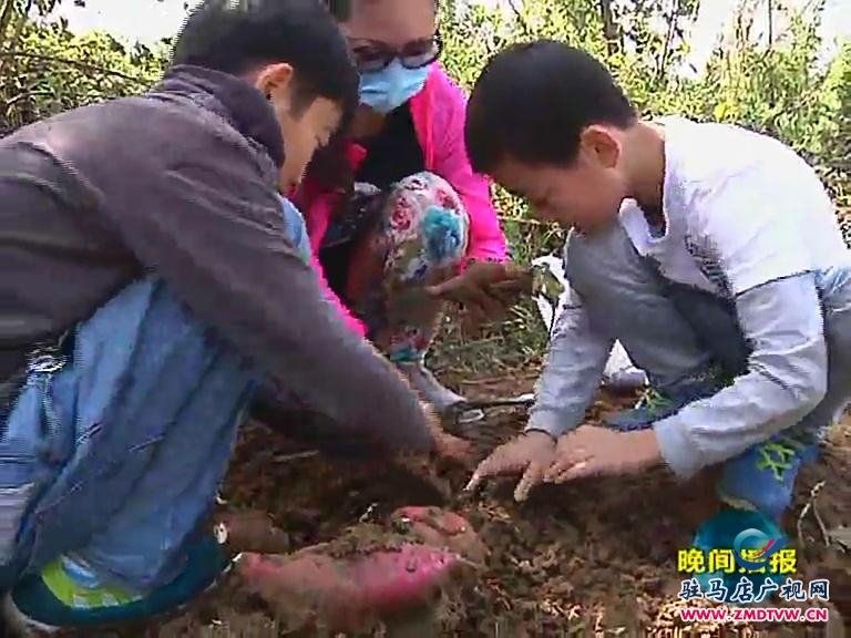 十一近郊游 收秋寻野趣
