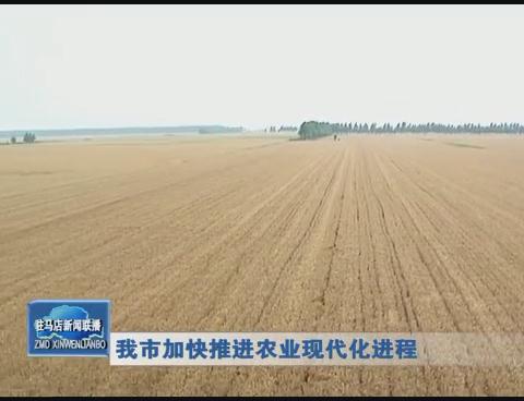 我市加快推进农业现代化进程