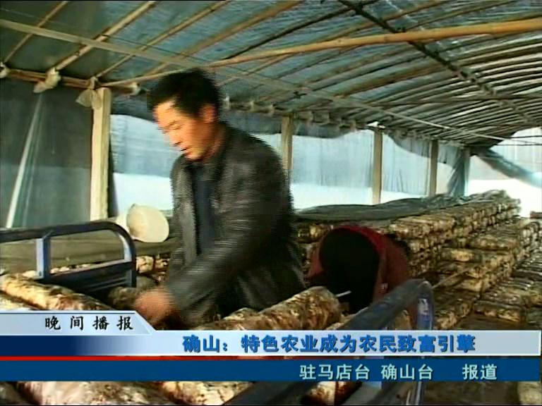 确山：特色农业成为农民致富引擎