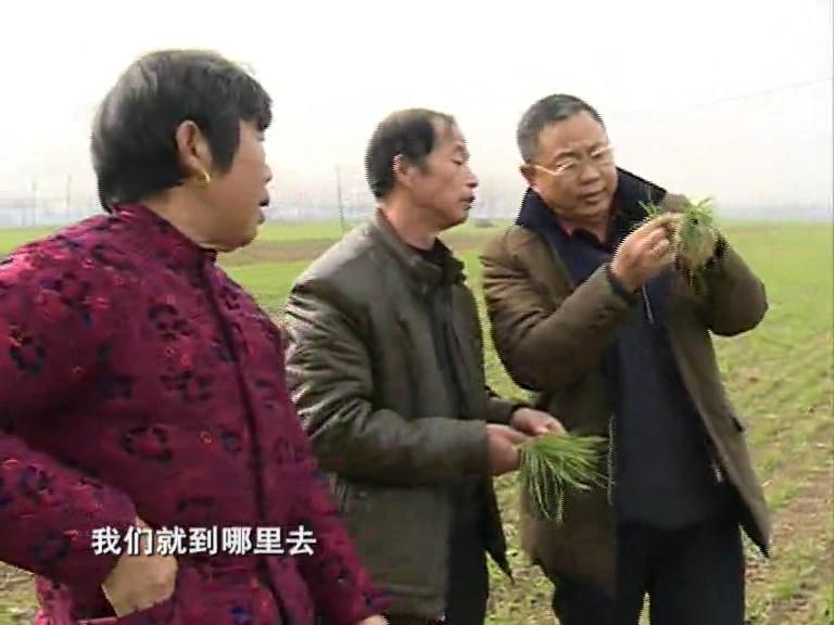 农民的贴心人—王振国