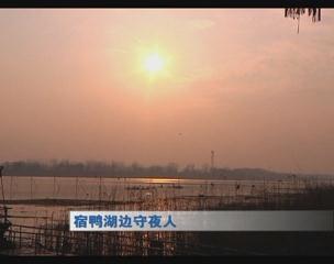 宿鸭湖边守夜人
