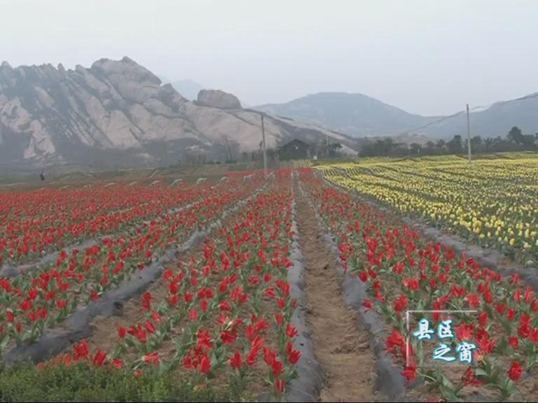 遂平：嵖岈春色好 游客踏青来