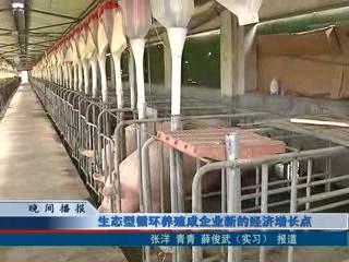 生态型循环养殖成企业新的经济增长点