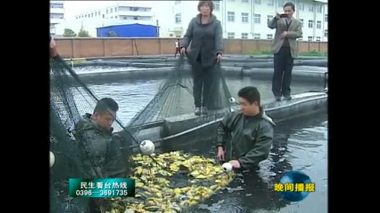 废水变活水 财源滚滚来