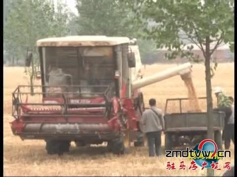 遂平：三夏时节大型农机唱主角