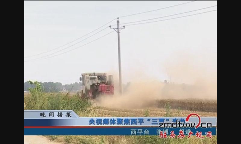 央视媒体聚焦西平“三夏”麦收