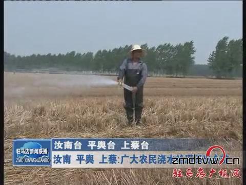 汝南 平舆 上蔡：广大农民浇水抢灌保出苗