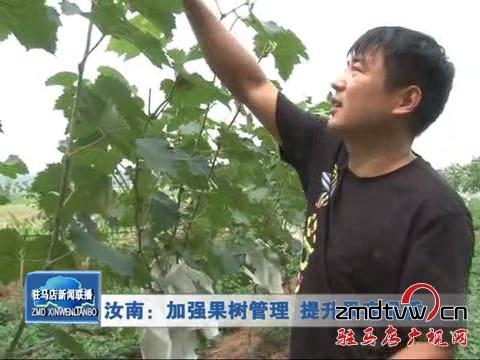 加强果木管理 提高葡萄产量