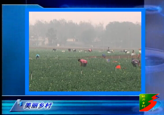 魅力乡村《108期》