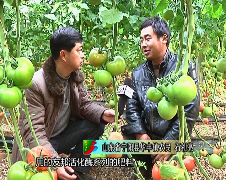 魅力乡村《113期》