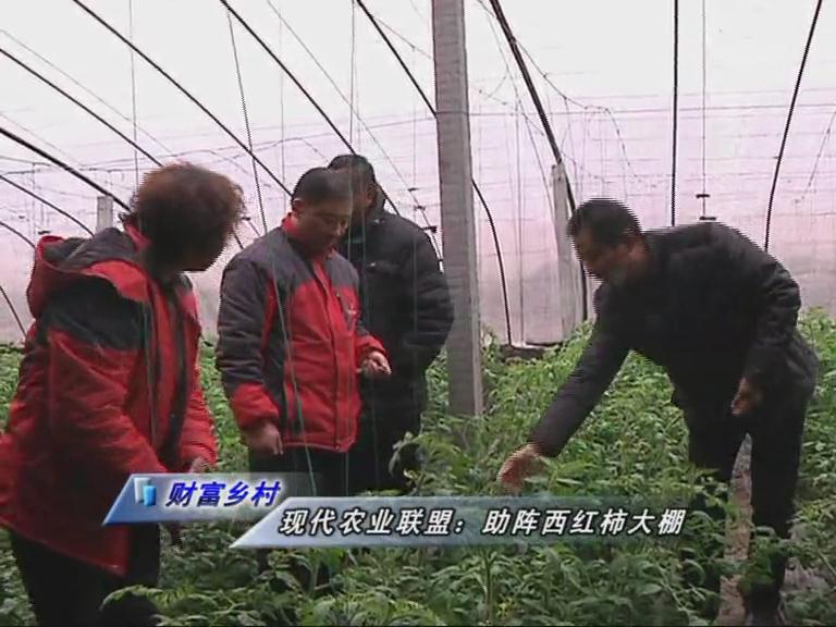 魅力乡村《119期》