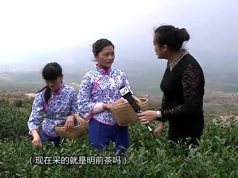 魅力乡村《128期》