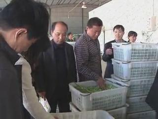 魅力乡村《130期》