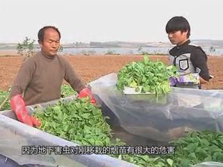 魅力乡村《131期》