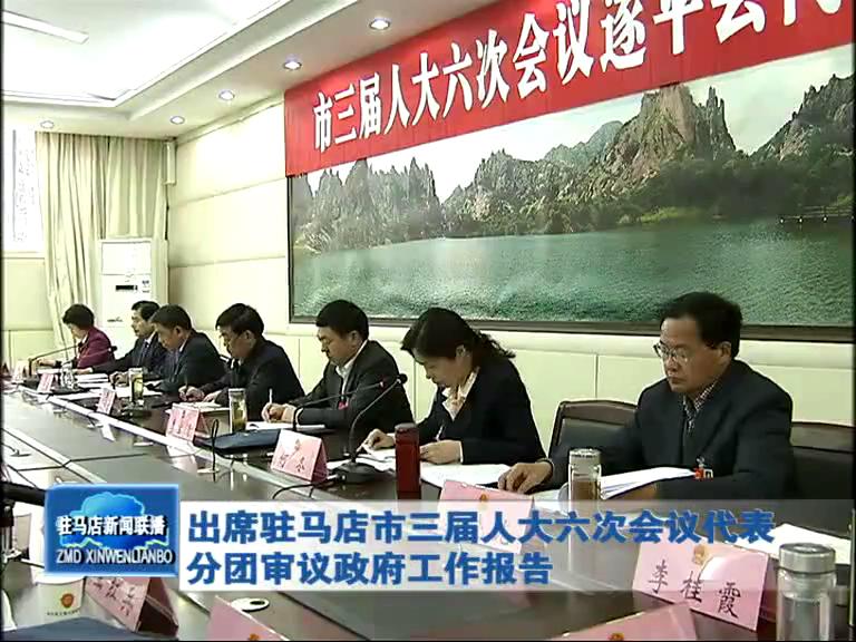 出席驻马店市三届人大六次会议代表分团审议政府工作报告（视频）