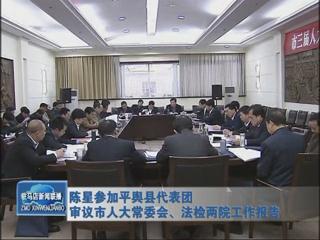 陈星参加平舆代表团审议市人大常委会、法检两院工作报告（视频）